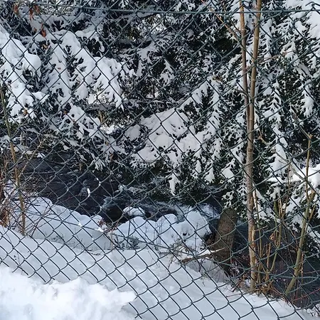 Zawojskie Spanie Alpesi faház Zawoja